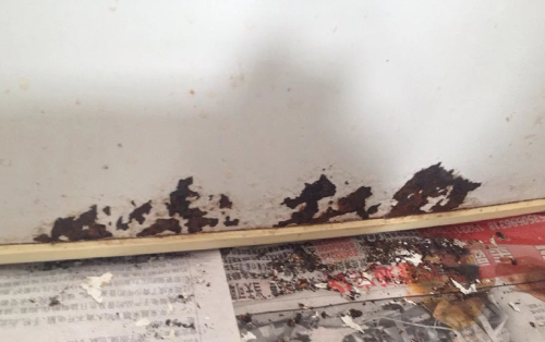 铁制品修复培训