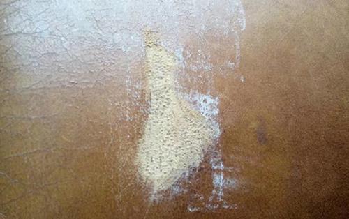 真皮沙发修复培训